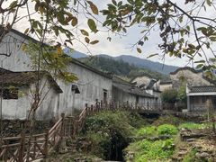 -石台牯牛降景区