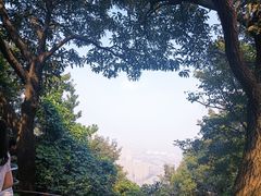 -惠山国家森林公园