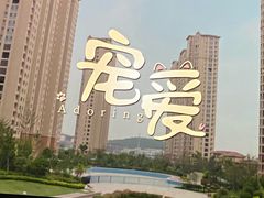 -SFC上影影城(港汇永华IMAX激光店)