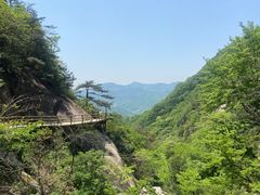 -罗田天堂寨风景区