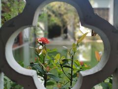 -广州神农草堂中医药博物馆