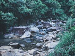 -广州白江湖森林公园