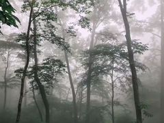 -武当山风景区
