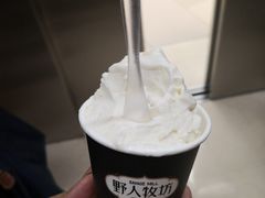 -野人先生现做冰淇淋(北京环宇荟店)