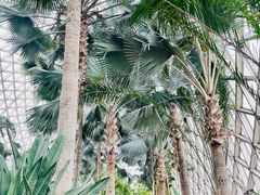 -上海辰山植物园