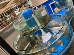 -四海蒸鲜蒸汽海鲜自助(北戴河店)