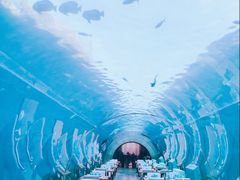 -涛·海底餐厅·美人鱼·自助餐·海底隧道(三亚海棠湾洲际度假酒店)