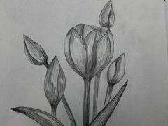 -鼎画艺术机构(贵都店)