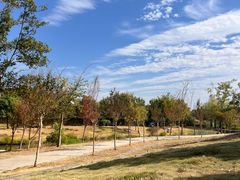 -花博汇(知音花月夜)