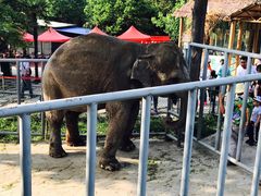 -西安秦岭野生动物园