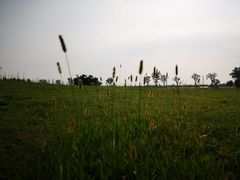 -滆湖低碳生态公园