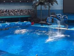 -海合安成都极地海洋公园