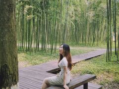 -黄海国家森林公园