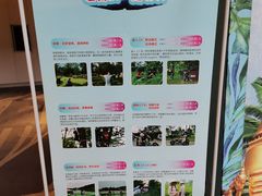 -美的鹭湖森林度假区