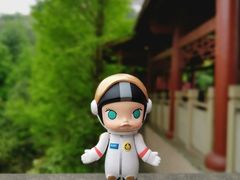 -重庆彩云湖湿地公园