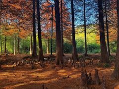 -南京市无想山景区