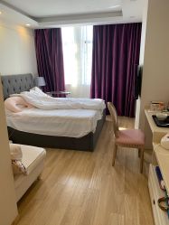 -海豚湾高端月子会所(黄浦店)