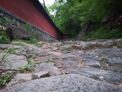 -阳台山自然风景区