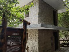 -华侨城湿地公园
