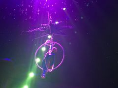 -珠海横琴长隆《卡卡虎奇遇记》