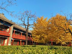 -北京石刻艺术博物馆(五塔寺)