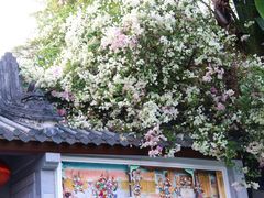 -深圳国际园林花卉博览园