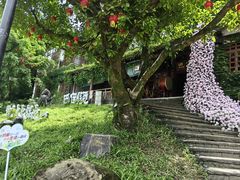 -巴倒烫陆派火锅山庄(南山总店)