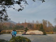 -习家池