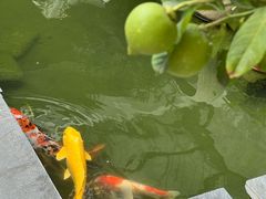 -漫笙舍Manse·咖啡·民宿