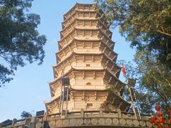 -深圳国际园林花卉博览园