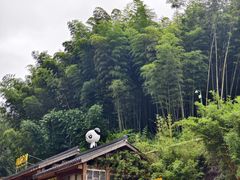 -蜀南竹海景区