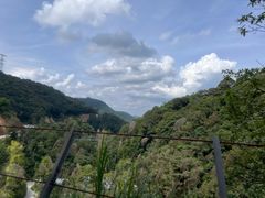 -龙岩森林水乡景区