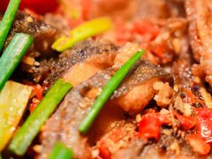 -老板恋上鱼(恒隆广场店)