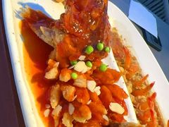 松鼠桂鱼-吴越荣记苏州菜·松鼠桂鱼100%活鱼现做(月光码头店)