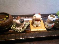 -No Cat 手碟