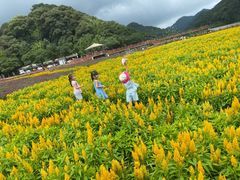 -广州市石门国家森林公园
