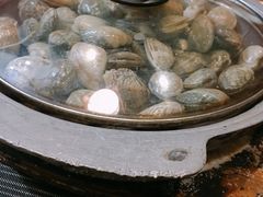 石锅花甲-千叶寿司创意融合料理(水韵城店)