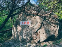 -阳台山自然风景区