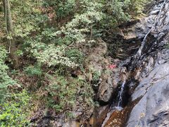 -梧桐山风景名胜区