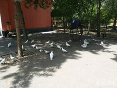 -青城公园