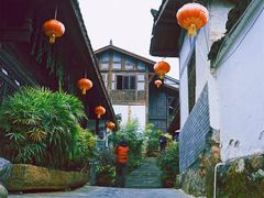 -后柳水乡