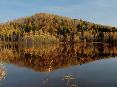-五营红松林海景区