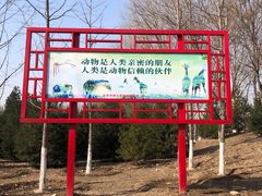 -东郊湿地公园