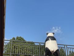 -杭州野生动物世界