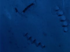 -珠海长隆海洋王国