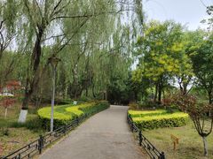 -大兴滨河森林公园