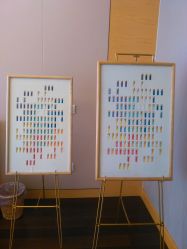 -彩虹之门健康管理