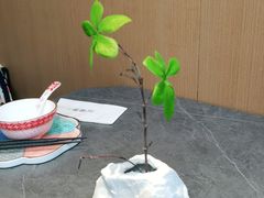 -江南里·新浙菜(苏州大悦城店)