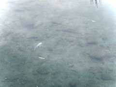 -水磨沟公园