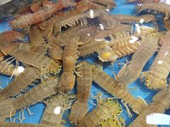 -旺角小渔村(幸福中路店)